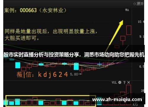 股市实时直播分析与投资策略分享，洞悉市场动向助您把握先机
