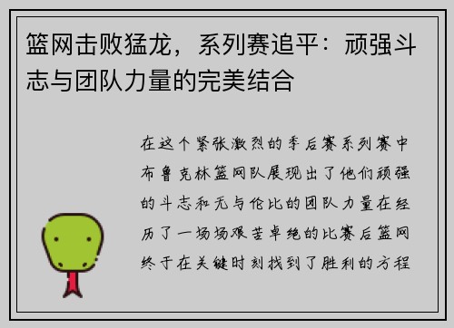 篮网击败猛龙，系列赛追平：顽强斗志与团队力量的完美结合